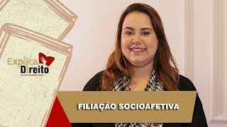 Explica Direito Filiação Socioafetiva  2019 [upl. by Eelymmij176]