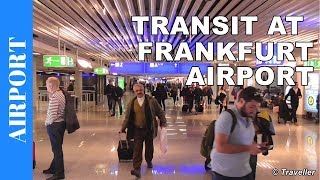 TRANSIT WALK AT FRANKFURT Airport FRA Terminal 1  Connection Flight Transfer Arriving amp Departing [upl. by Warms]